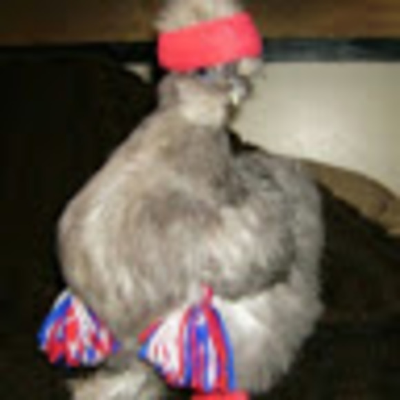 Meet your Posher, Kaillym - Picture 1 of 1